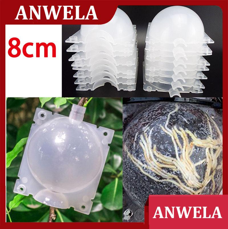 ANWELA 5pcs 8cm Fruit Plant Tree Rooting Ball Root Box Plastic Case Transparent Grafting Rooter Growing High-pressure Breeding