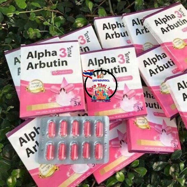 vỉ kích trắng alpha arbutin