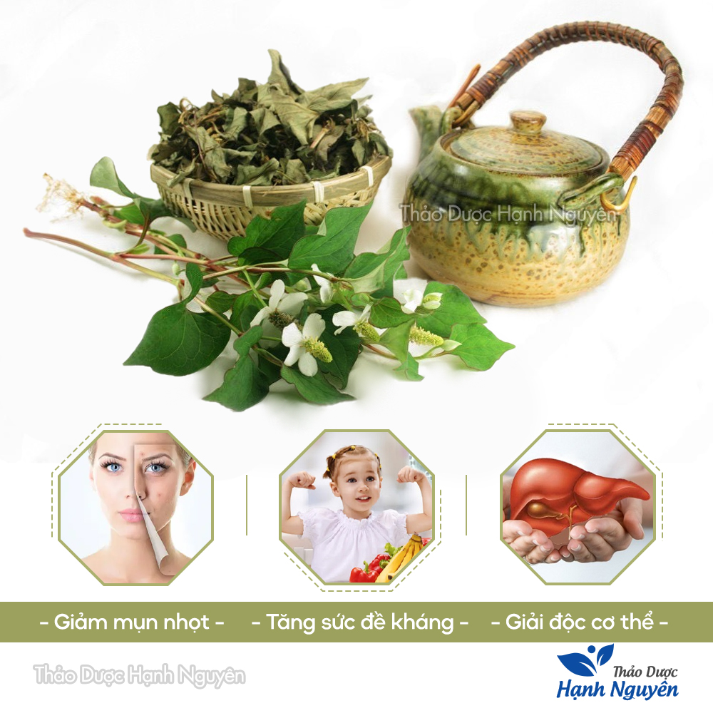 Rau diếp cá 100g, lá diếp cá khô, sạch, pha trà, giúp thanh nhiệt, giải độc, mát gan, tốt cho tiêu hóa