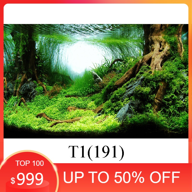tranh 3d dán bể cá(kt 60x40, 80x40, 80x50 , 90x50, 100x50...)