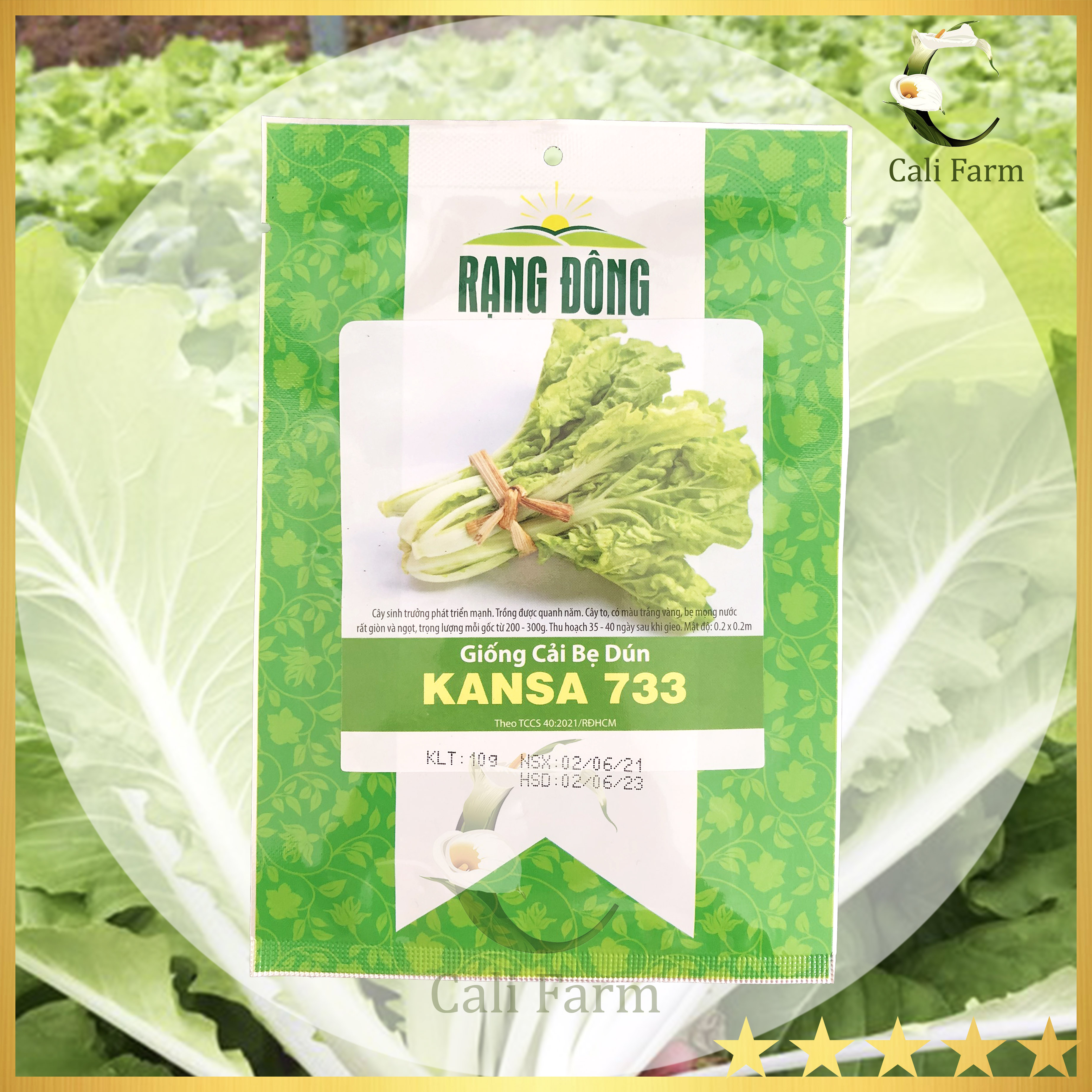 Hạt Giống Cải Bẹ Dún Kansa 733 Rạng Đông Gói 20Gram