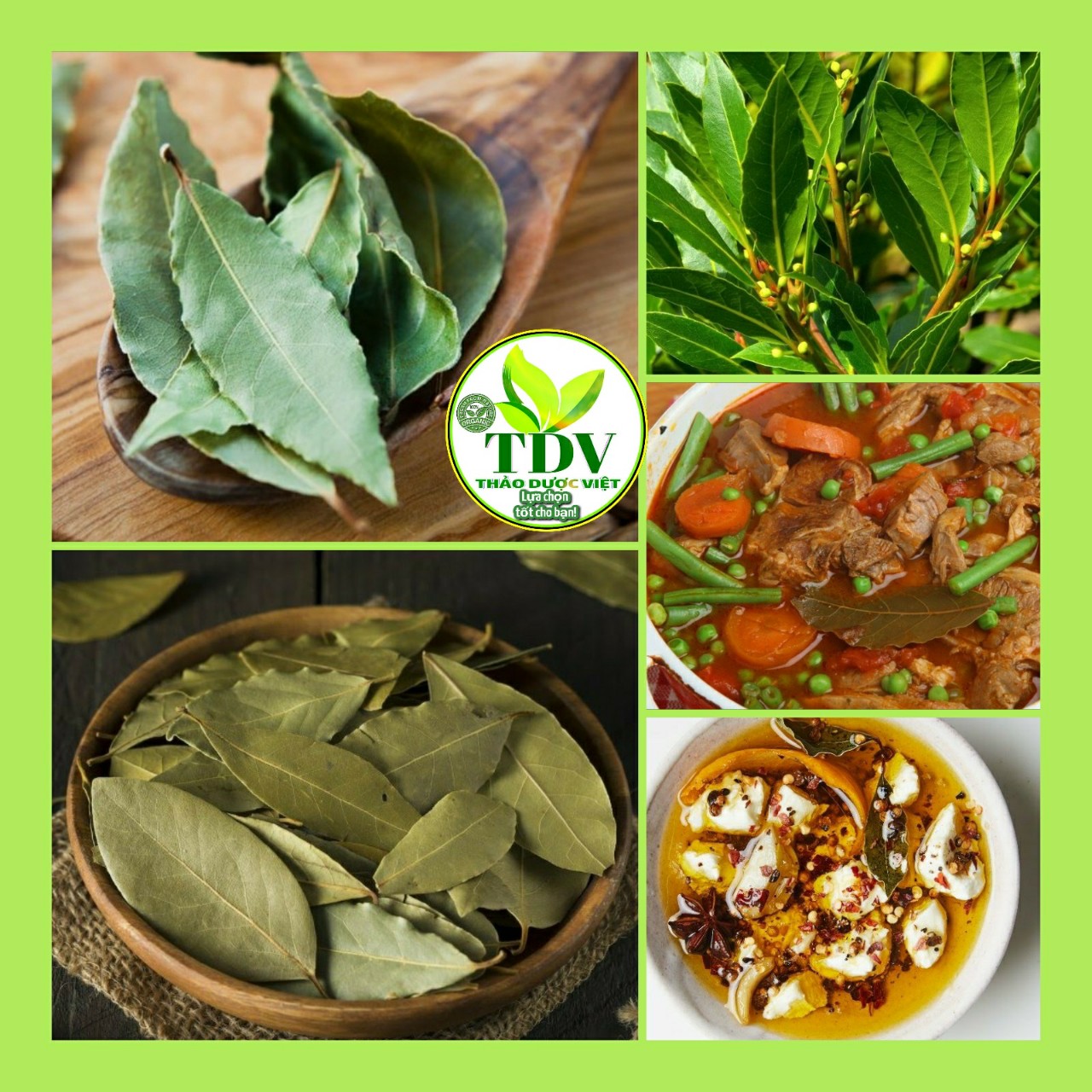 250g Lá nguyệt quế ( lá thơm ) dùng làm gia vị