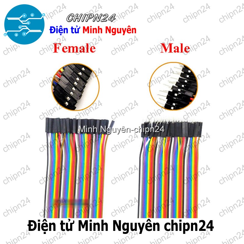 [20 sợi] (P68) Dây Cắm Test Board 20cm Đực-Đực - HH001146