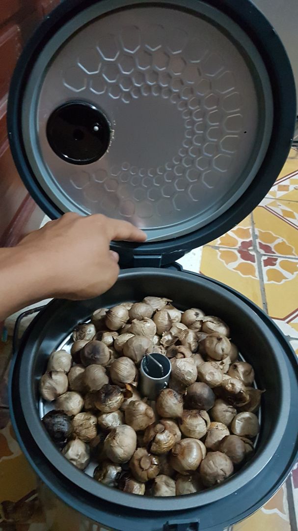 Máy làm tỏi đen gia đình Tiross TS908 (Màu bạc)