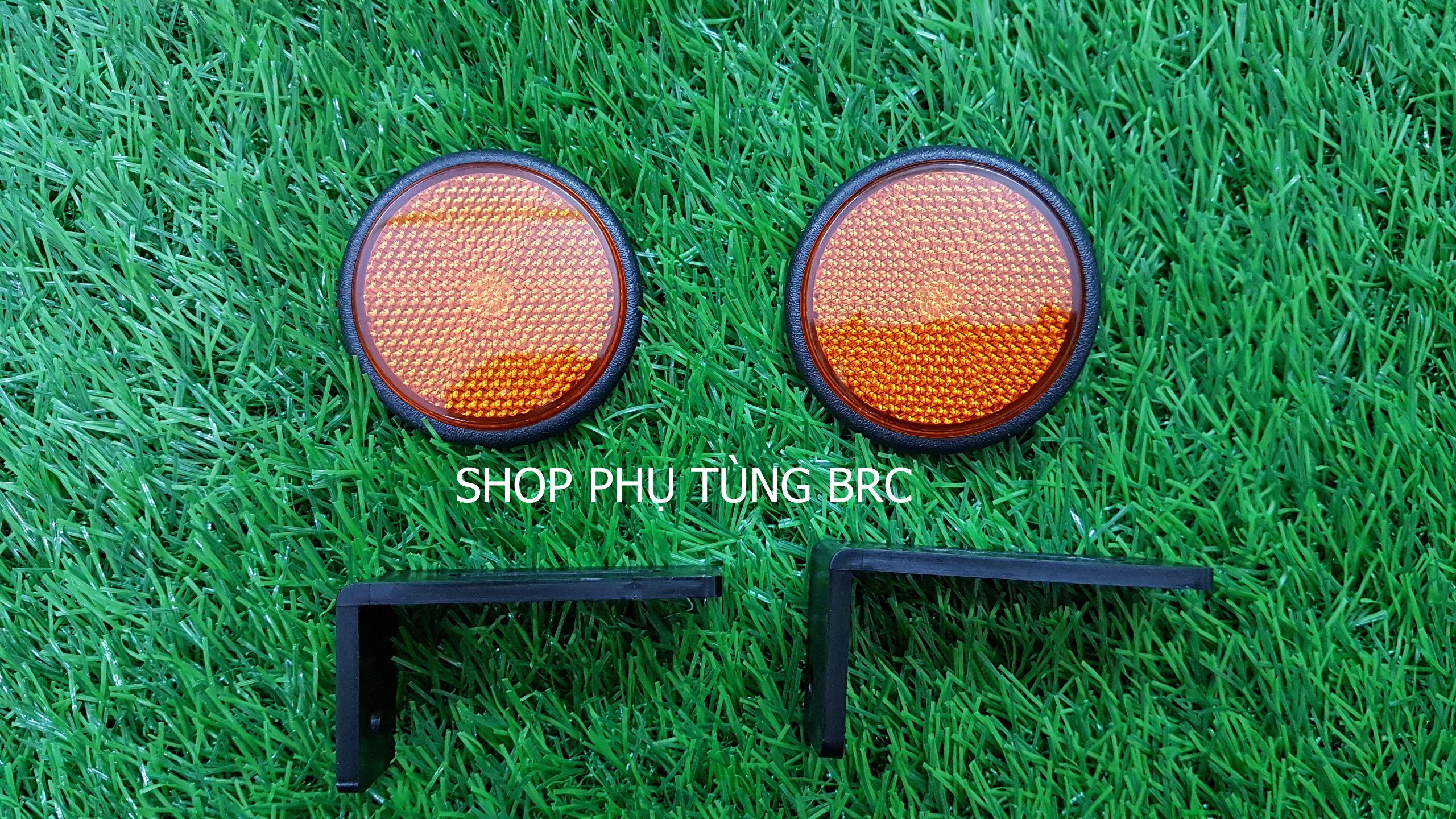 Mắt mèo màu vàng gắn biển số