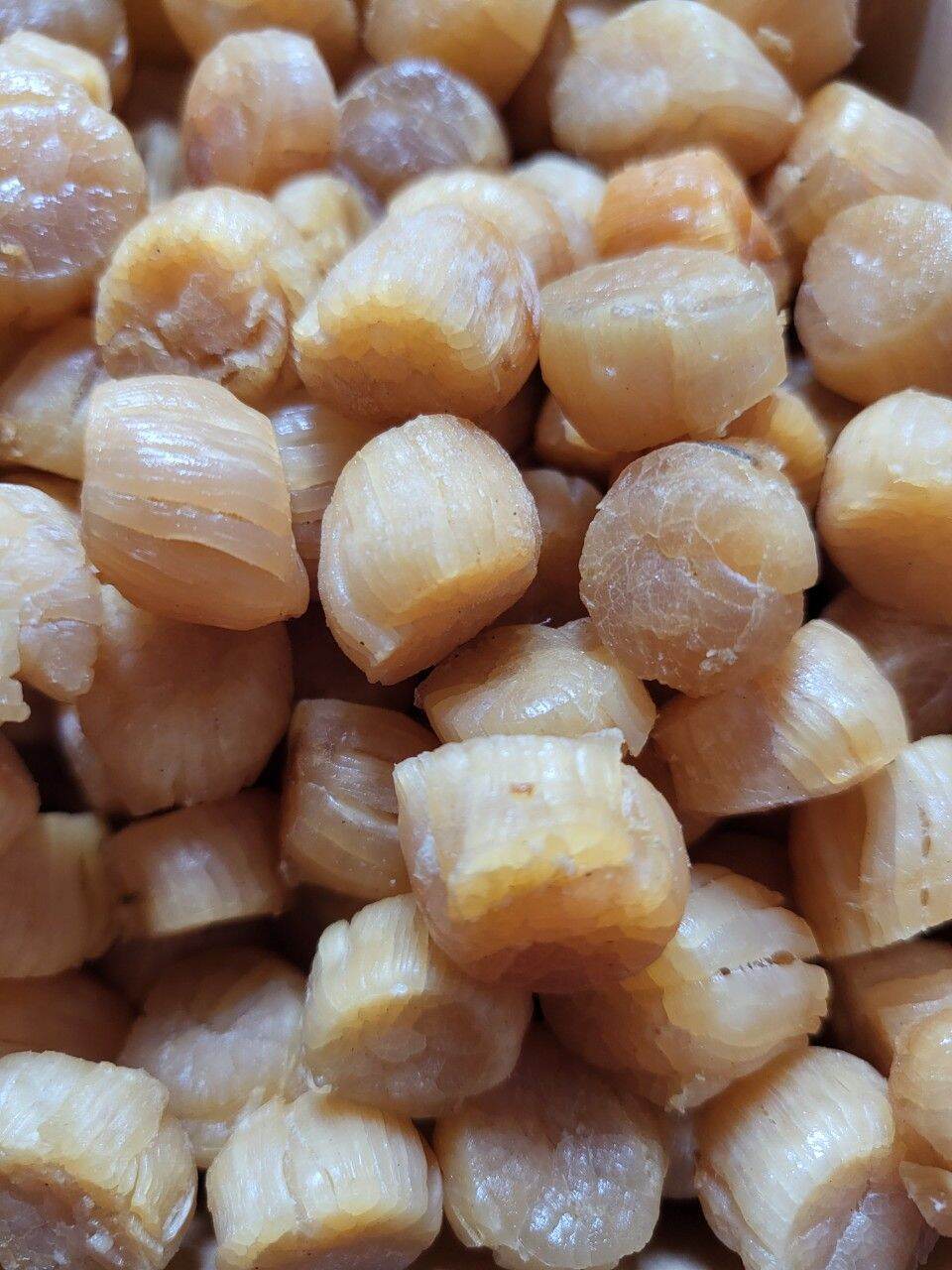 Cồi Sò điệp khô Nhật 250gr size nhỏ