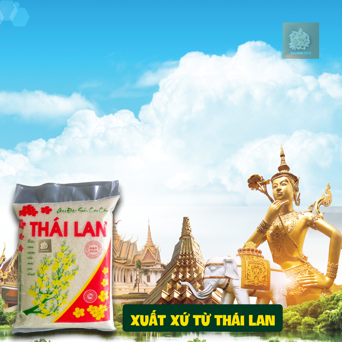 Gạo Thơm Thái Lan dẻo vừa thơm cơm
