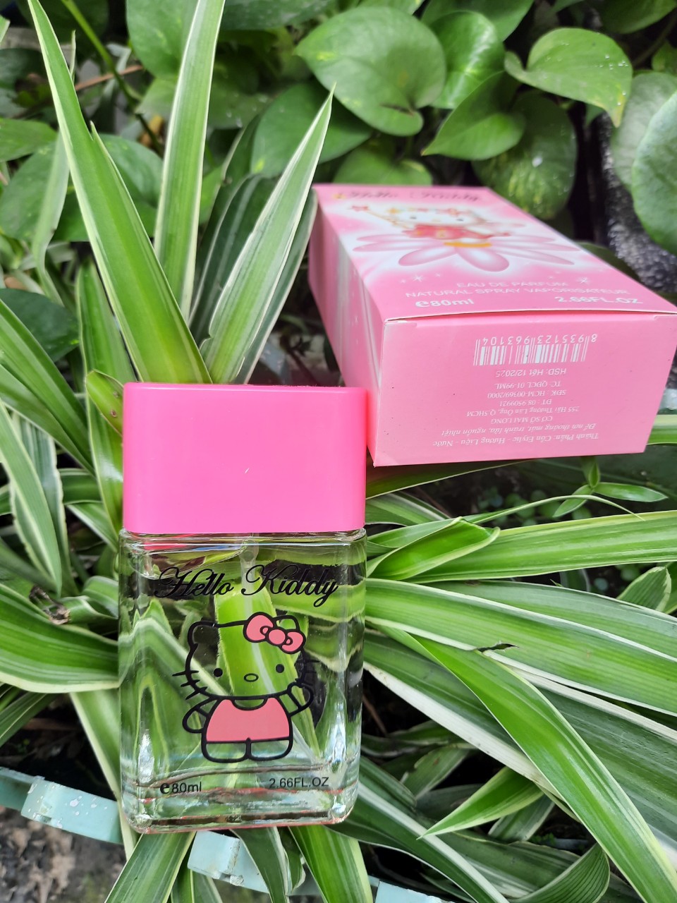 Nước Hoa Hello Kiddy hương dễ thương 80ml