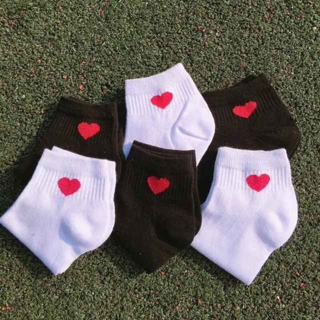 combo 5 đôi tất Cổ Tim ngắn cổ dễ thương