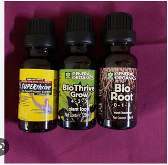 Bộ 3 sản phẩm CHĂM SÓC LAN super thrive bio root bio thrive (20ml)