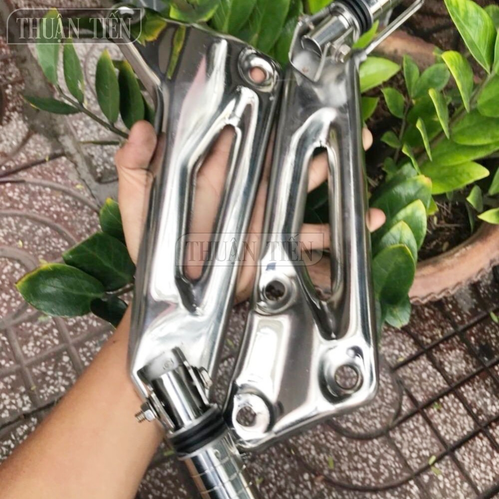 Set double pas footrest and footrest reverse dream stainless steel Little