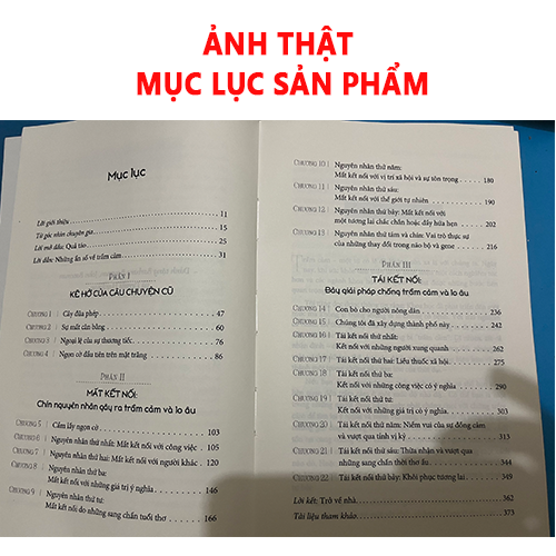 Mất Kết Nối - Lost Connnections (Khám Phá Các Nguyên Nhân Thực Của Trầm Cảm Và Các Giải Pháp Bất Ngờ)