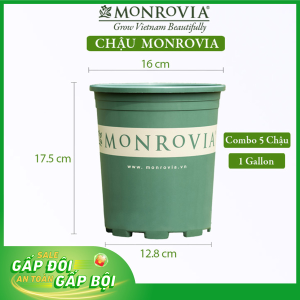 5 Chậu nhựa trồng cây MONROVIA 1 Gl, chậu trồng cây, chậu cây cảnh mini, để bàn, treo ban công, treo tường, cao cấp, chính hãng thương hiệu MONROVIA