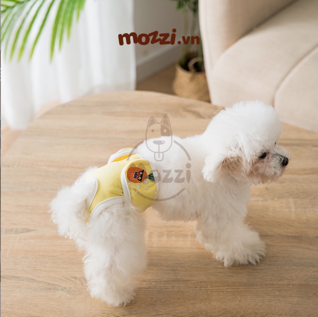 Tã bỉm quần vải dán Hipidog cho chó Cái
