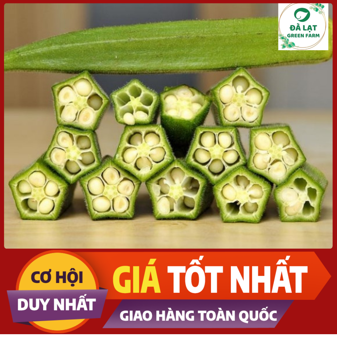 20GR_HẠT GIỐNG ĐẬU BẮP XANH (NẢY MẦM CỰC CHUẨN)