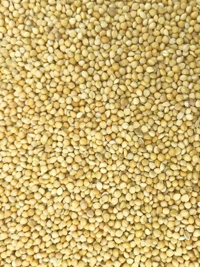 [HCM]Hạt kê gói 500g