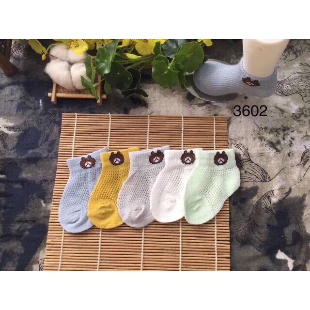 Set 5 đôi tất lưới hình gấu cho bé