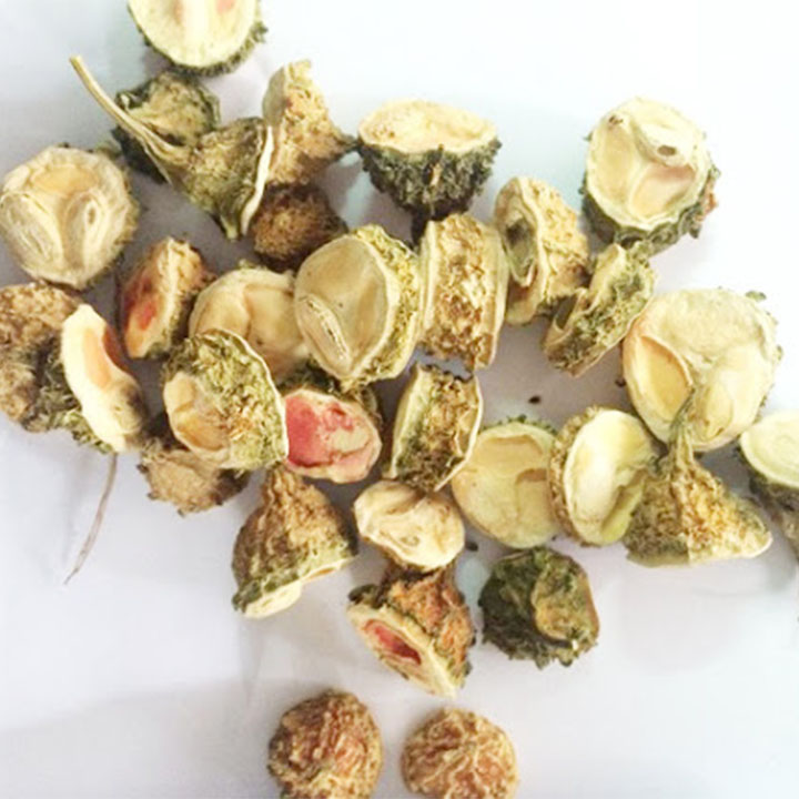 Mướp đắng rừng (Khổ qua rừng) 1kg