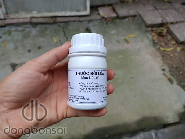Combo 5 Chai dung dịch bôi lũa bonsai 150ml