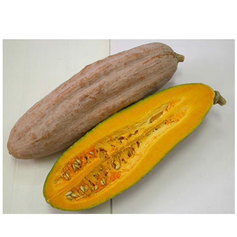 Hạt giống Bí Đỏ Dài ( Bí Sáp) PhuNongSeeds - 10g