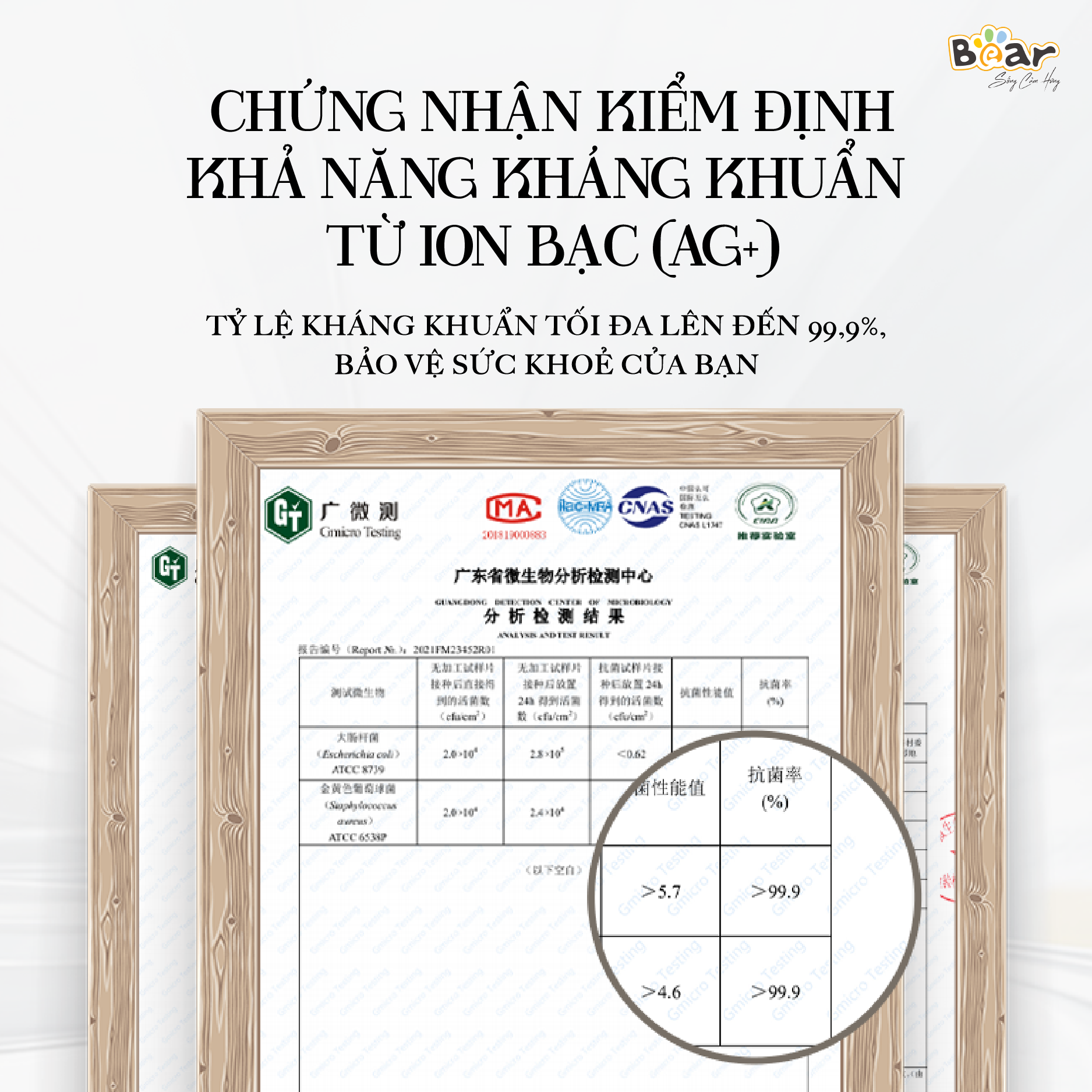Đũa Bear E0102 cao cấp, kháng khuẩn, chất liệu an toàn