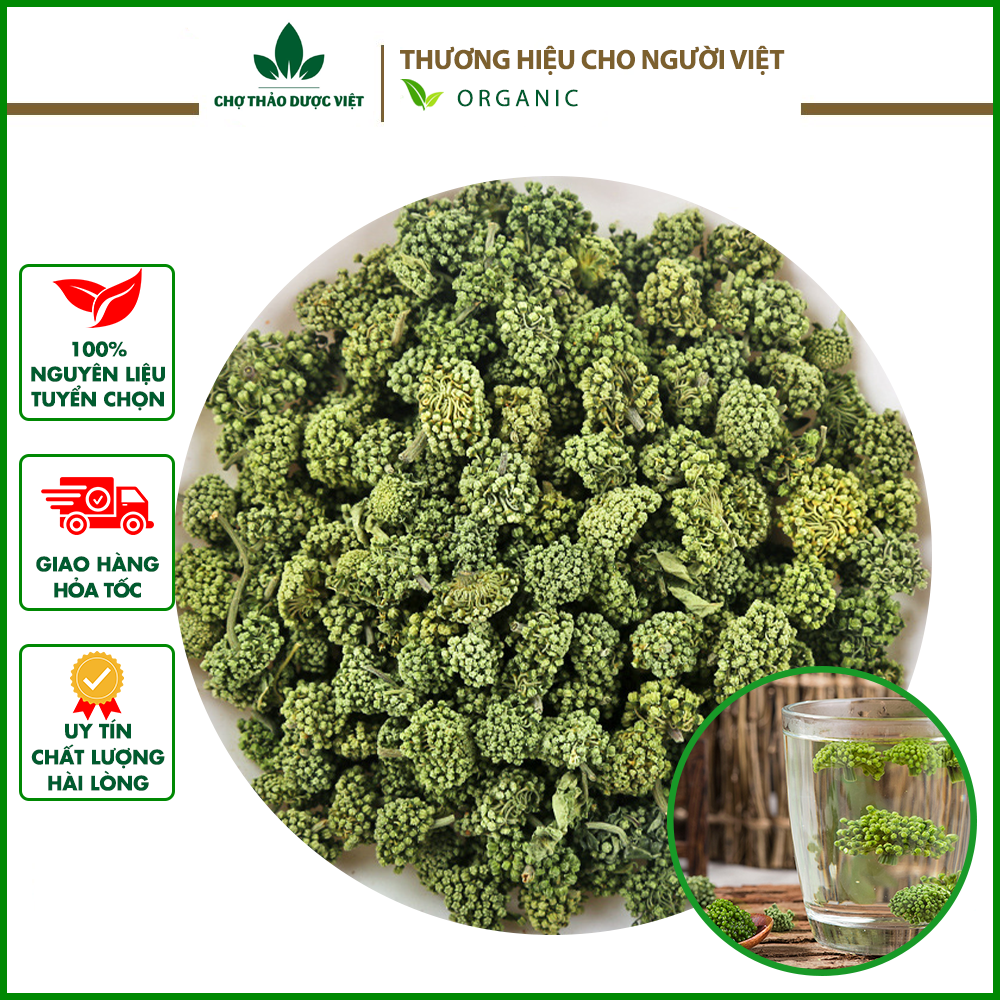 1kg Nụ hoa tam thất bao tử không cuống loại 1 xanh thơm đẹp - Chợ Thảo Dược Việt