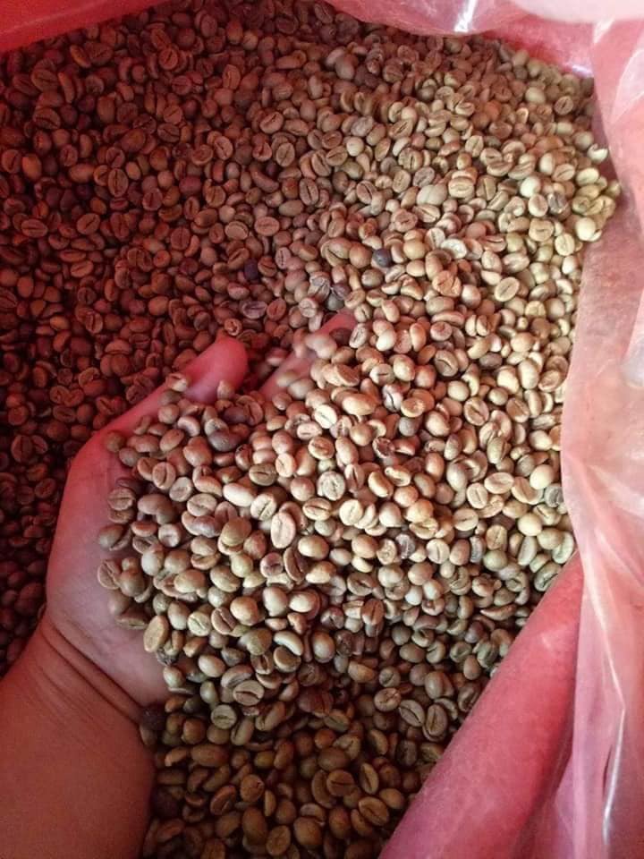 Cà phê Robusta rang mộc nguyên chất, đậm đà, chocolate, caramel - DAMREY COFFEE
