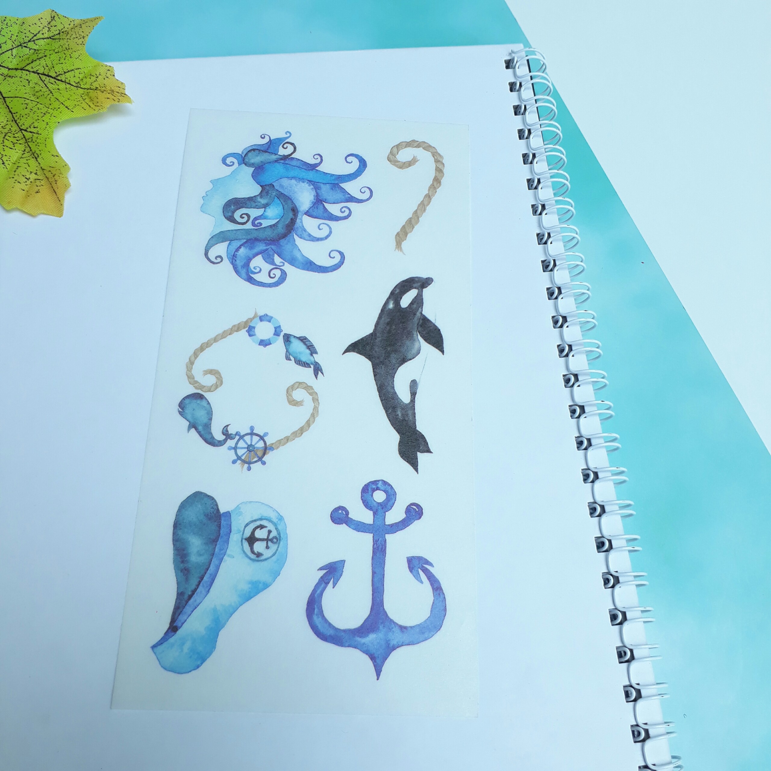[HCM]Bộ 6 Tấm Sticker Sinh Vật Biển