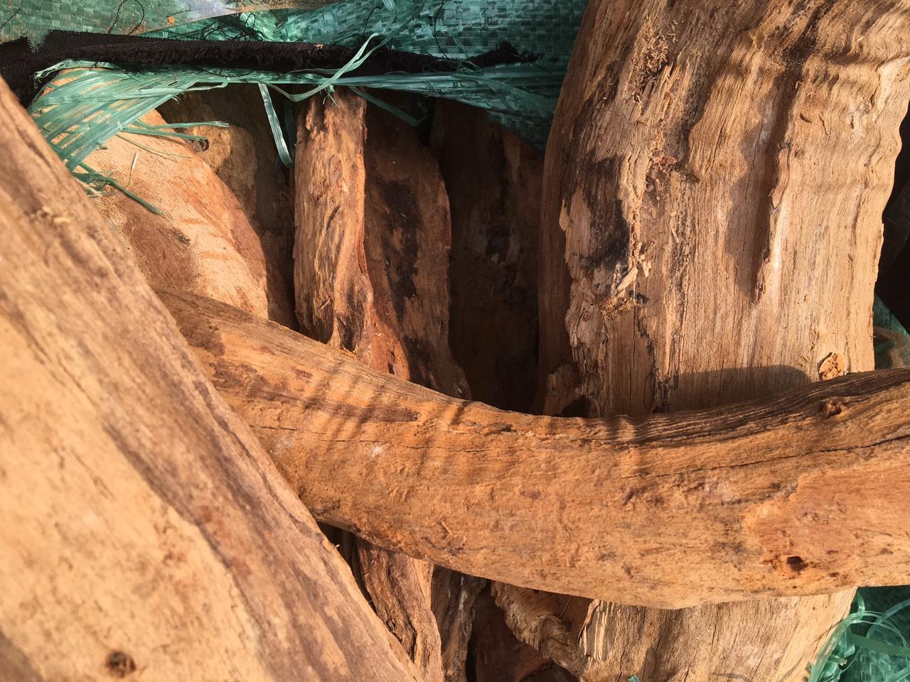 Rễ gỗ nghiến ghép lan dài 25 đến 30 cm trọng lượng 4 kg