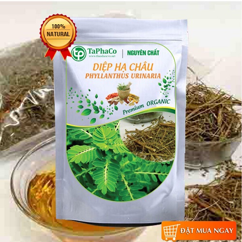 Diệp hạ châu khô 1kg , Cây chó đẻ khô