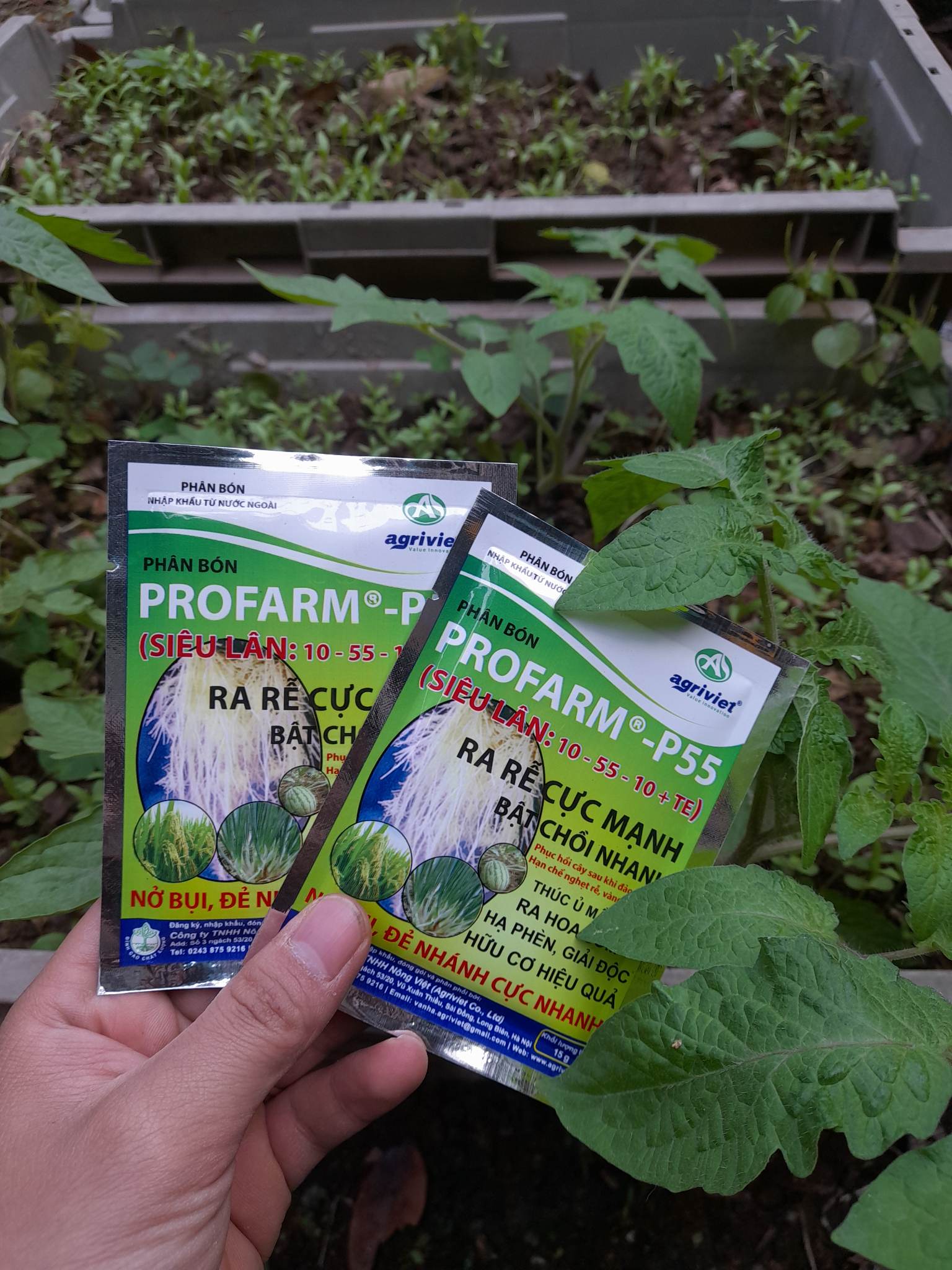 Phân Bón PROFARM kích thích cây tạo rễ