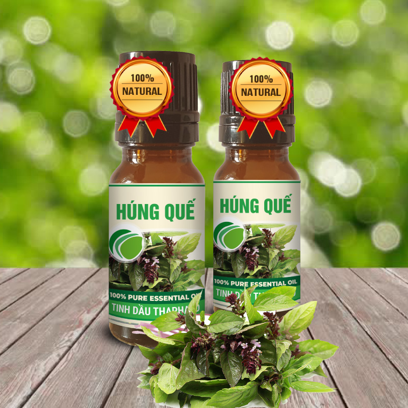 Tinh Dầu Húng Quế Đặm Đặc Nguyên Chất 10ml Thaphaco