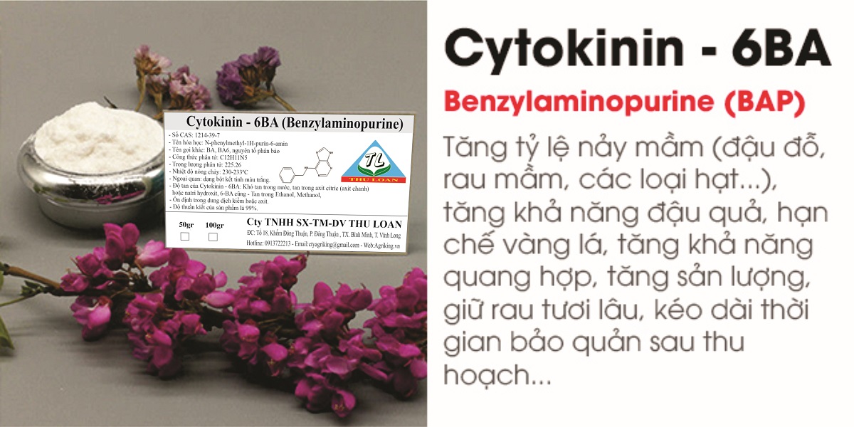 Cytokinin - 6BA 99% (Siêu kích chồi, bật búp) Gói 100gr