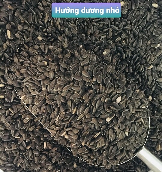 Hạt Hướng Dương nhỏ 1kg