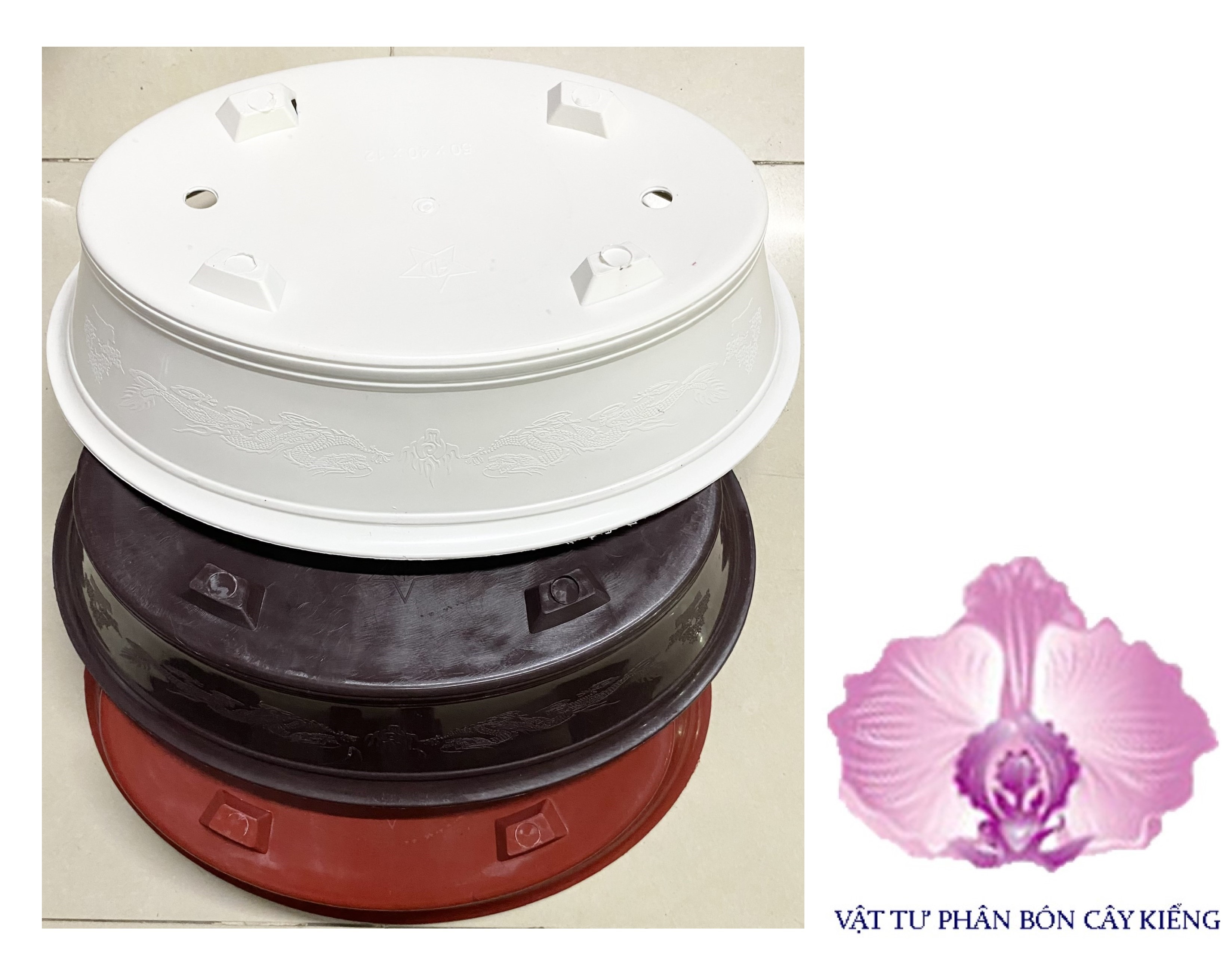 Chậu Oval Bonsai AD 50x40x12cm - #024D#