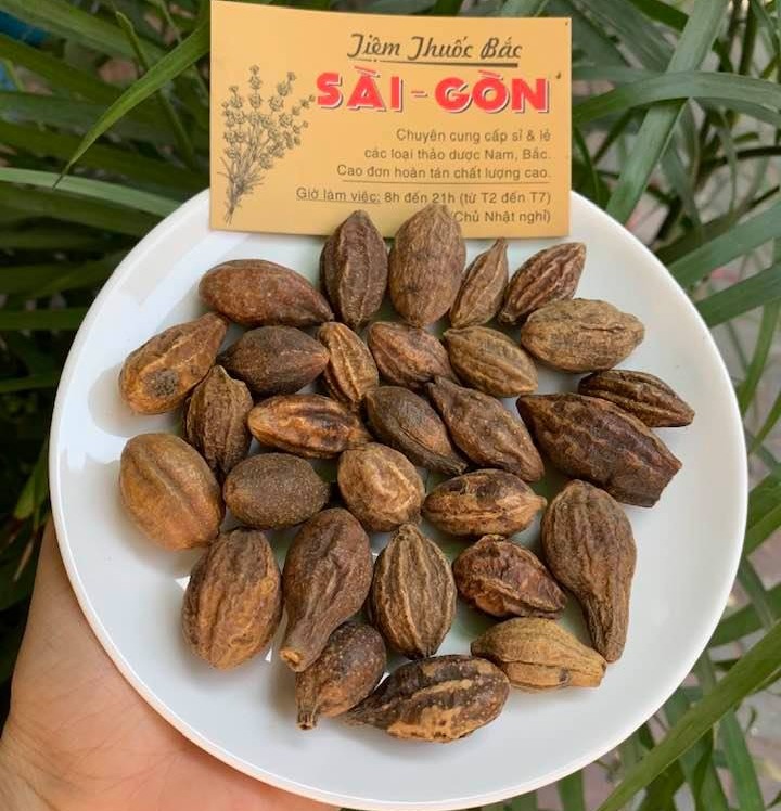 [HCM]Hạt Kha Tử - A Tử giảm ho 100gram