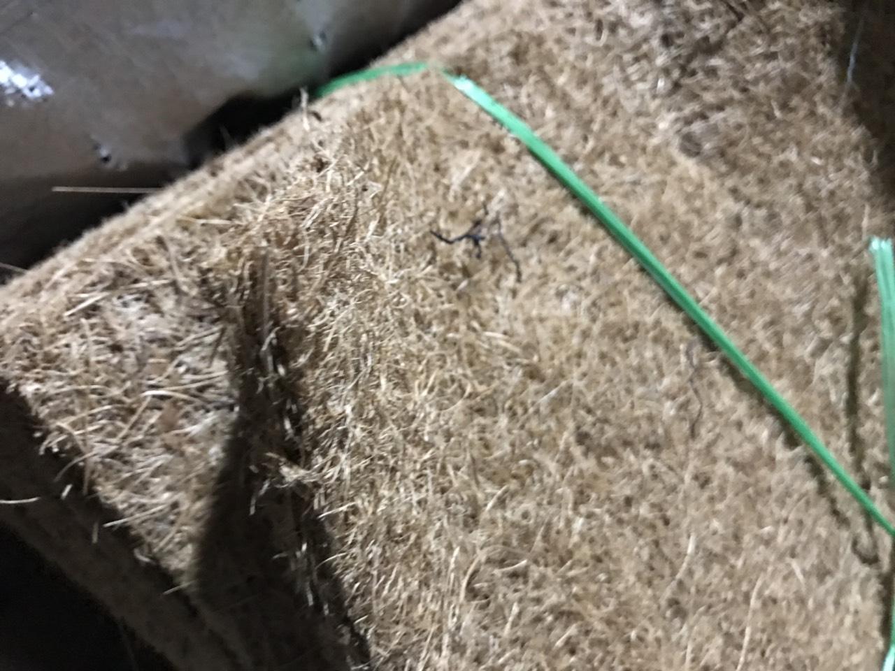 Thảm xơ dừa 50cmx50cm dày 1cm