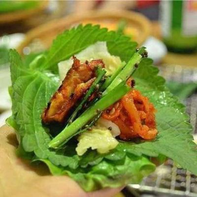 HẠT GIỐNG LÁ MÈ HÀN QUỐC
