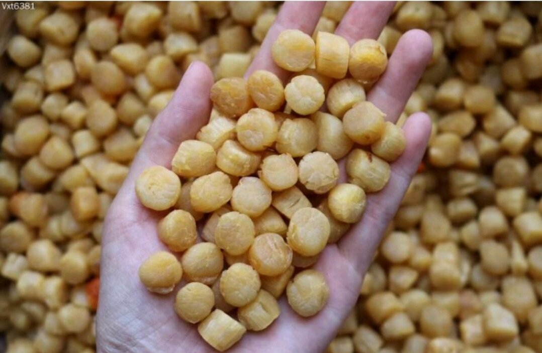 100g cồi điệp  nhật khô size nhỏ túi zip( MY FOOD FREE SHIP)