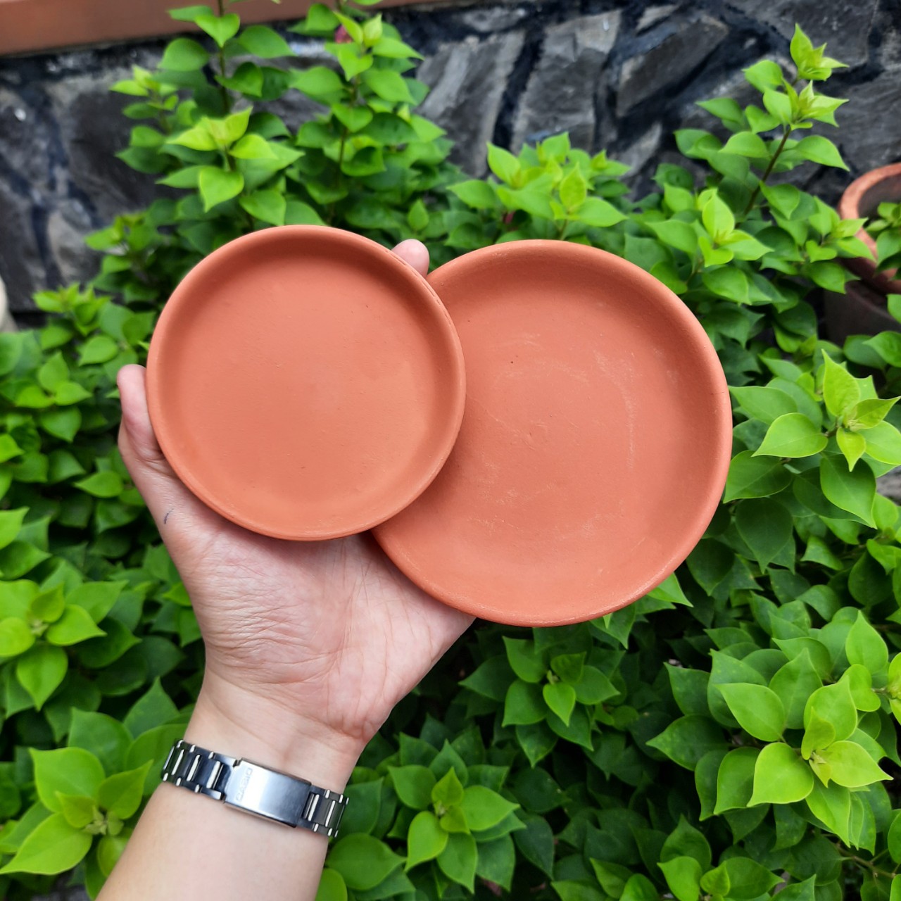 Dĩa lót chậu sen đá, xương rông, cây cảnh 9cm, 11.5cm