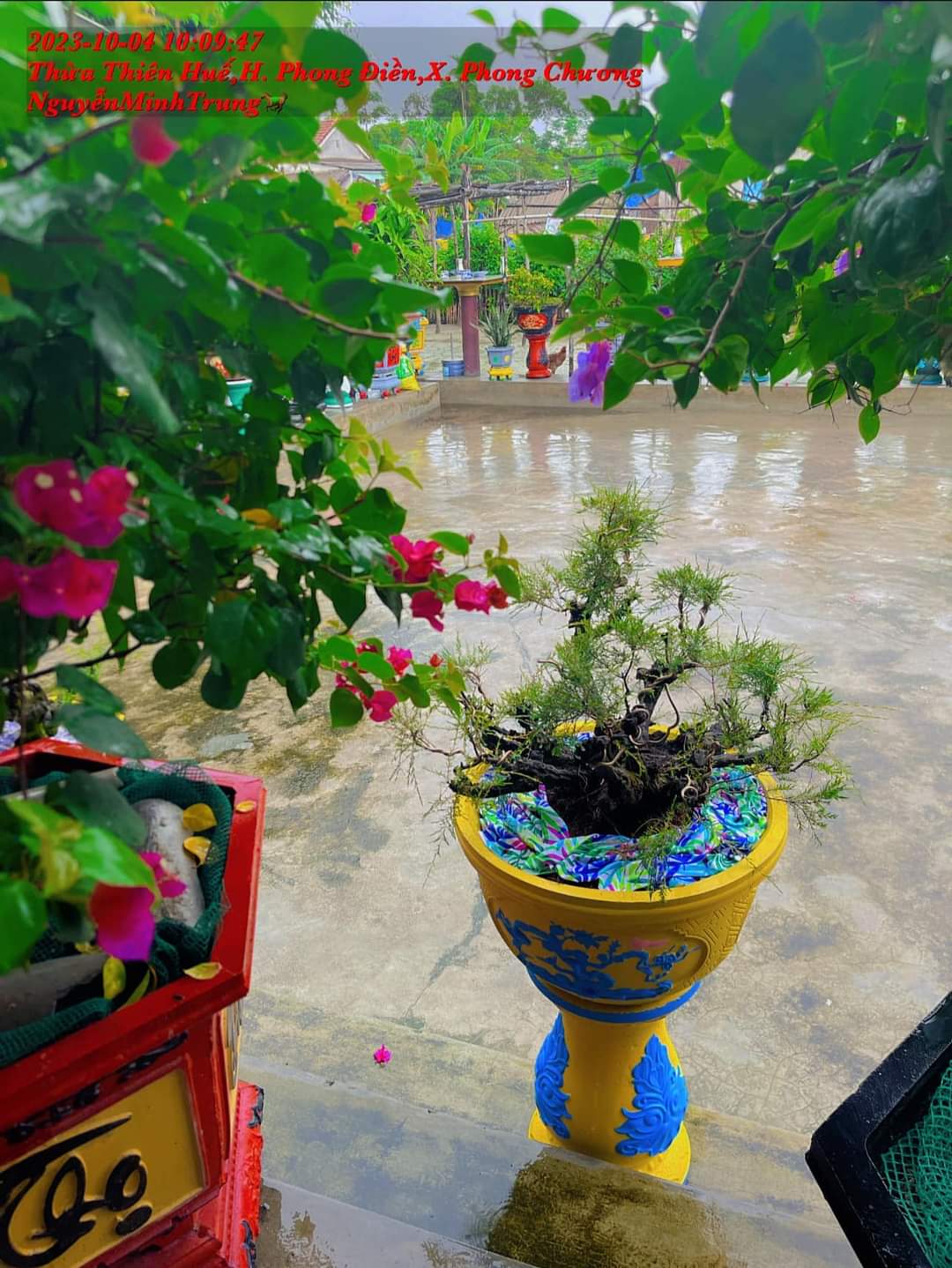 [Hộp 1kg] Sơn màu Vàng Nghệ sơn chậu cảnh supon (Sơn ngoại thất hệ bóng)