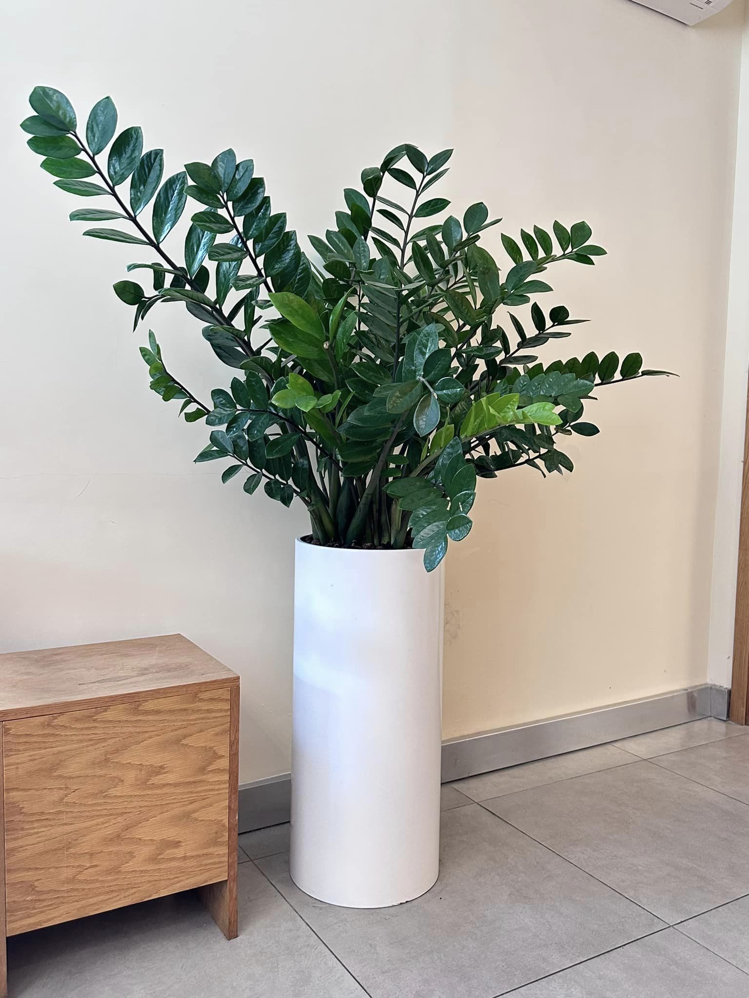 Chậu composite trụ tròn 30x70 HomeViet