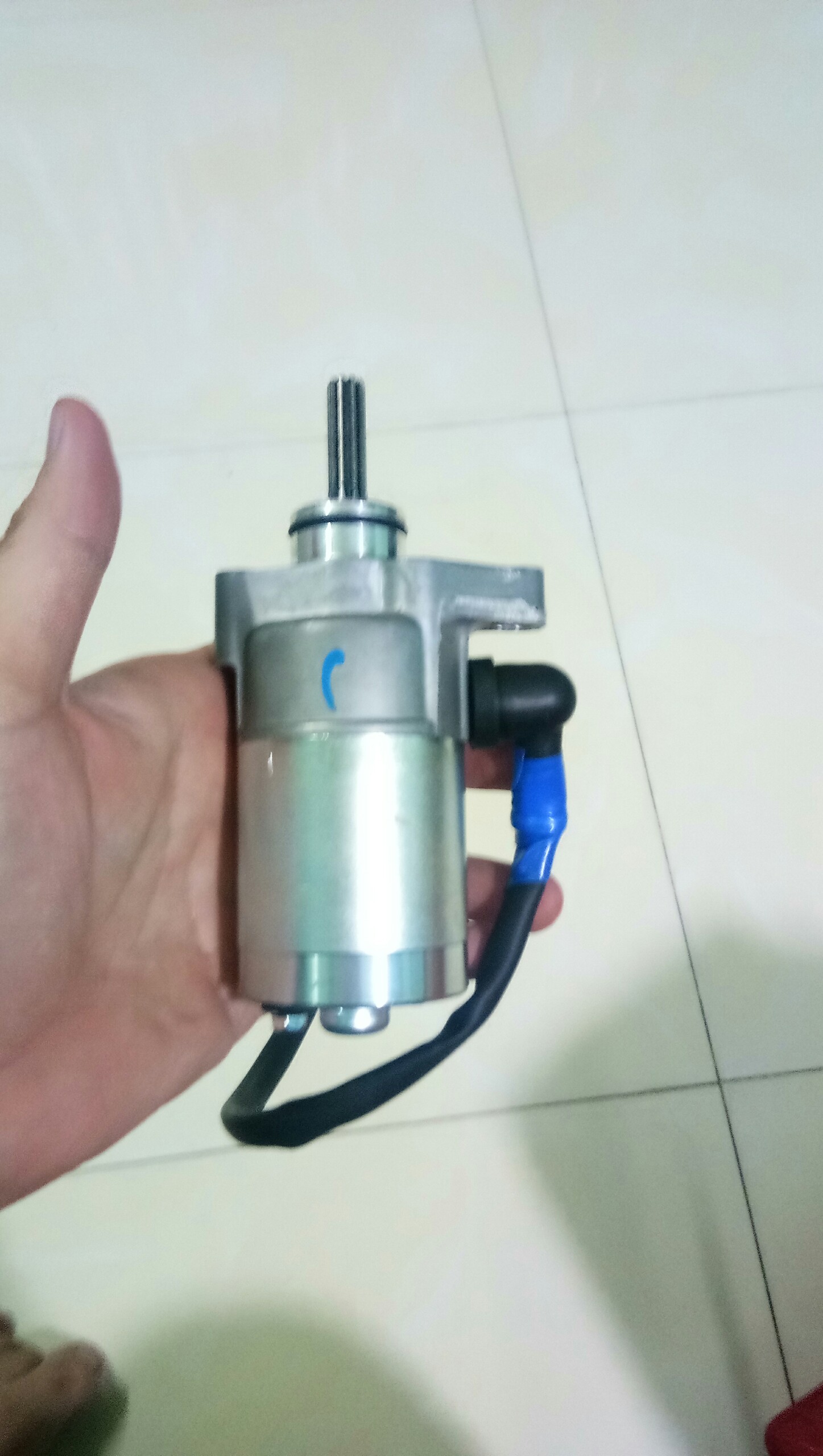Củ đề Sirius Hàng tốt