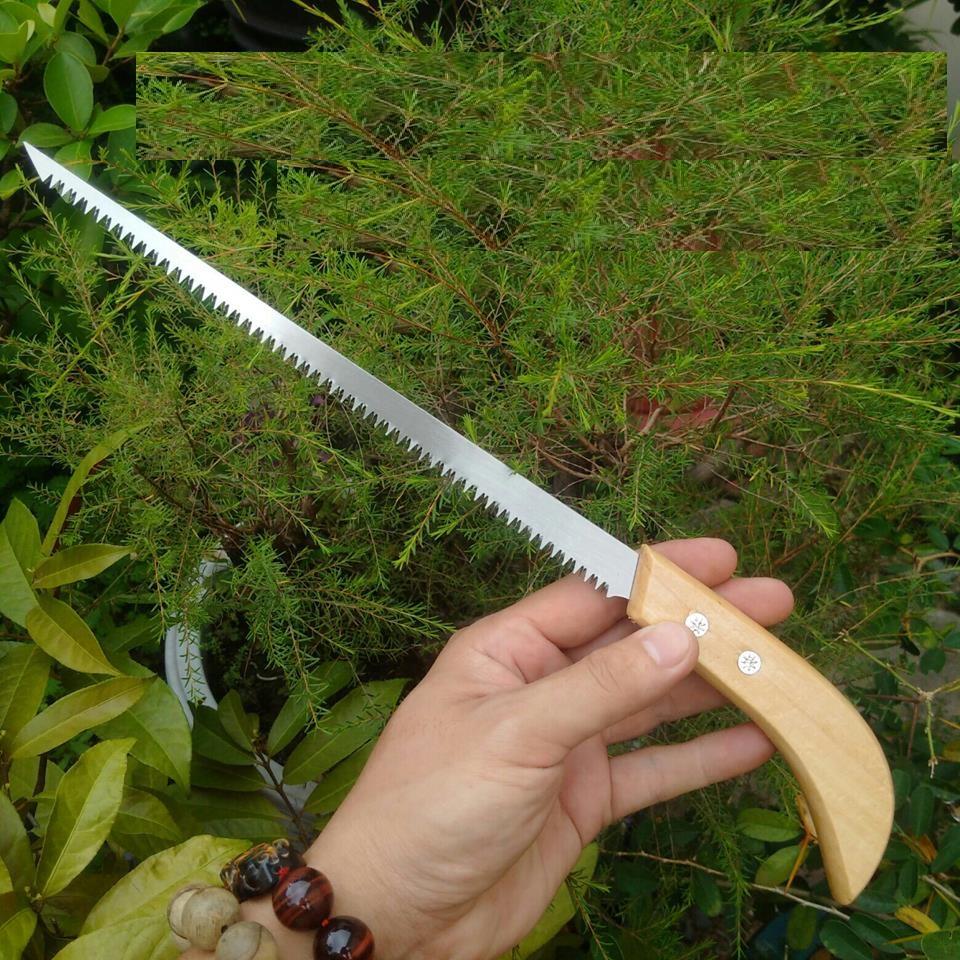 Cưa mini cưa cành trong vị trí hẹp - C99