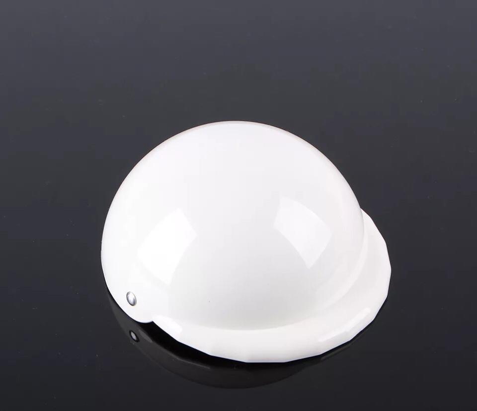 [HCM]Nón Bảo Hiểm cho thú cưng