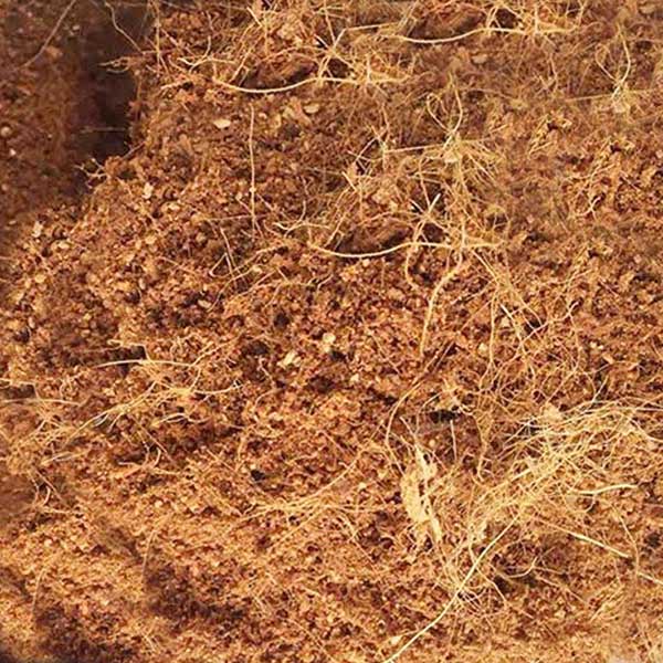 (PHẠM GIA FARM)  túi 1kg xơ dừa trồng cây và ươm hạt