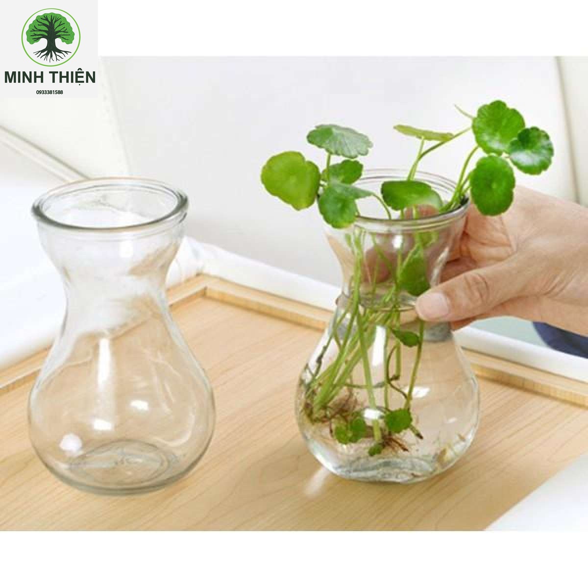 [HCM]Lọ hoa thủy tinh ông tiên