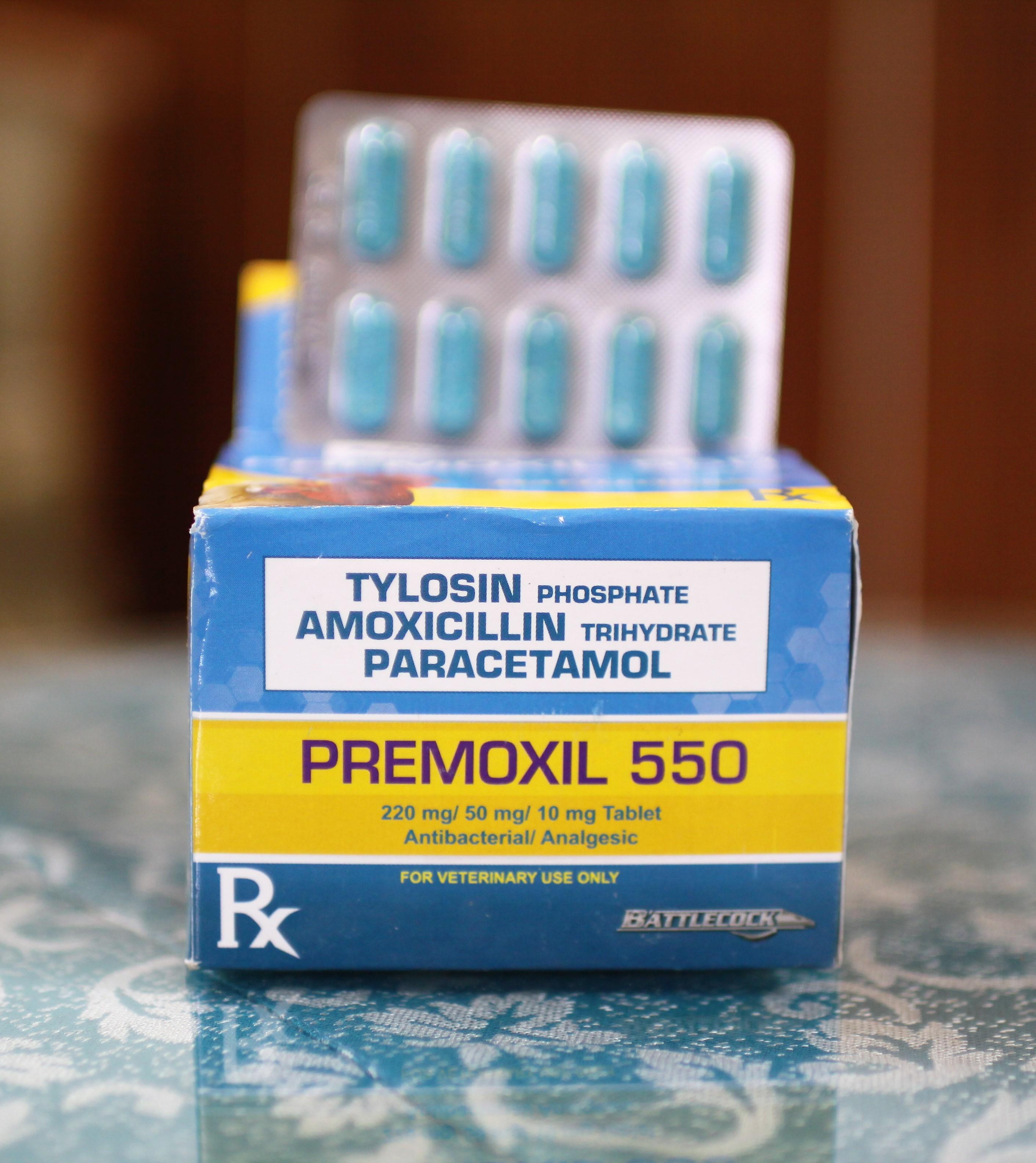 Premoxil 550 - Hộp 100 Viên