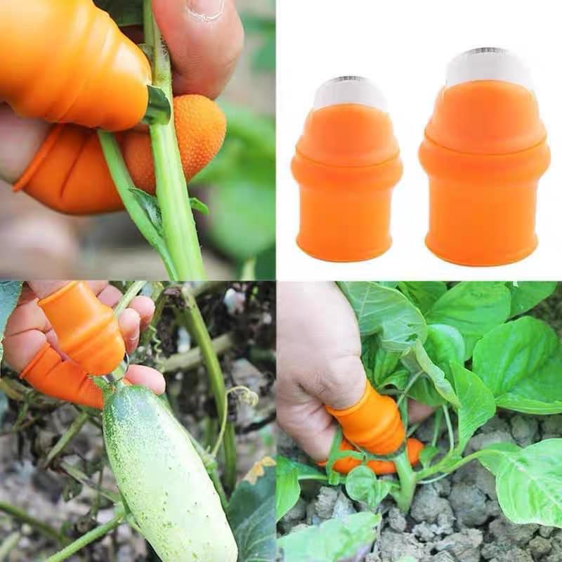 Combo 02 đôi Găng tay bấm , nhặt rau củ quả