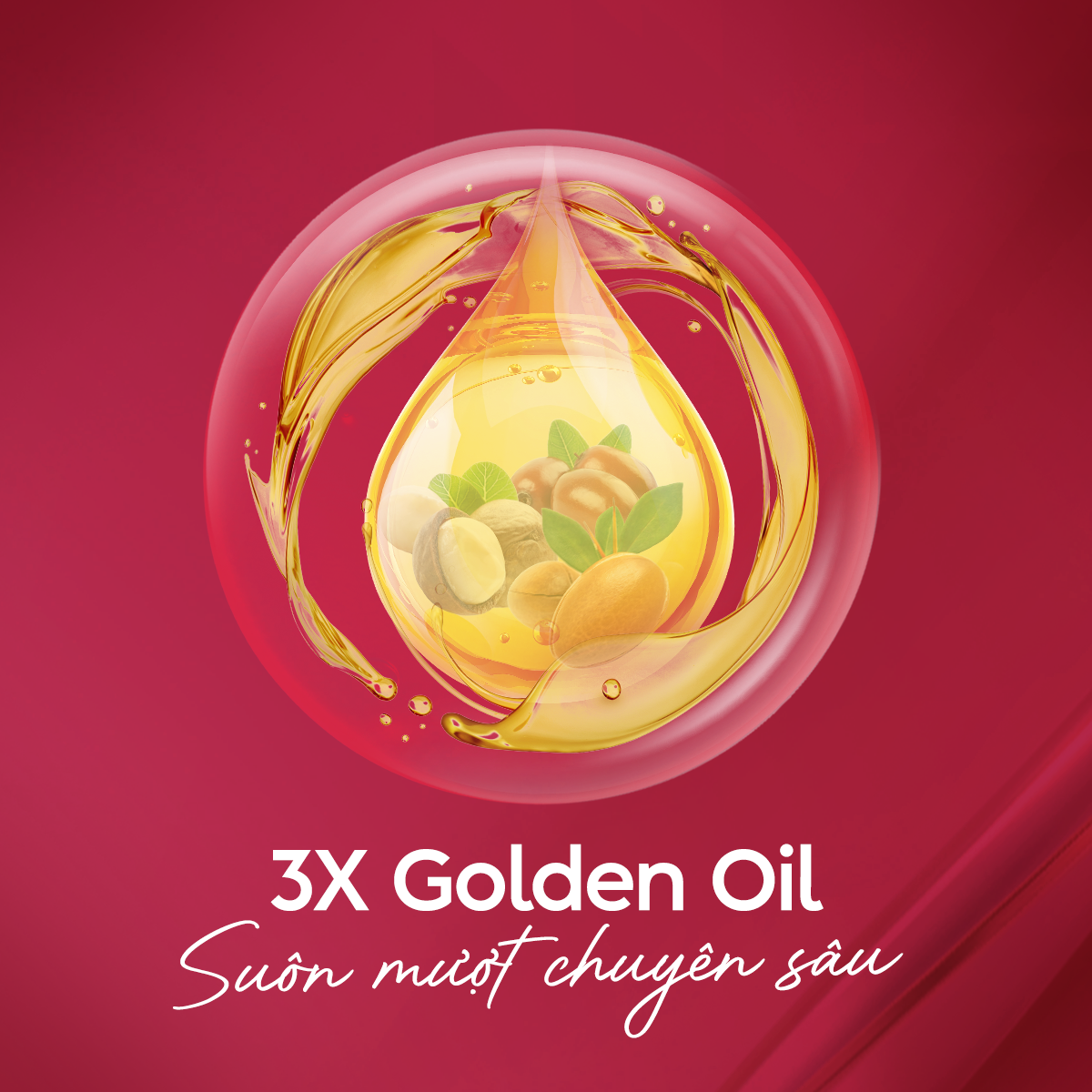[LG Daily Beauty Official] Combo 2 Nước dưỡng tóc Double Rich nuôi dưỡng tóc óng mượt 250ml